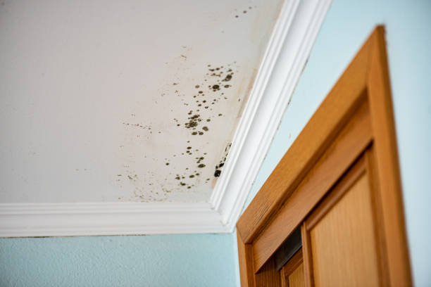 Water Damage Restoration in Alpha, NJ